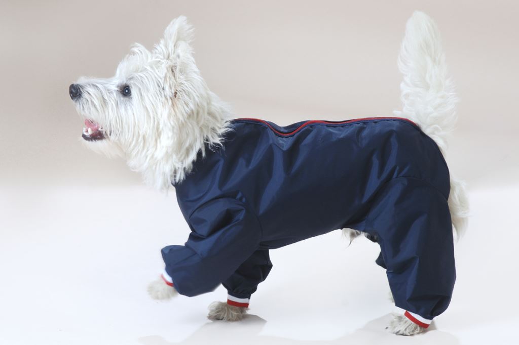 Waterproof Nylon Dog Trouser Suit eBay
